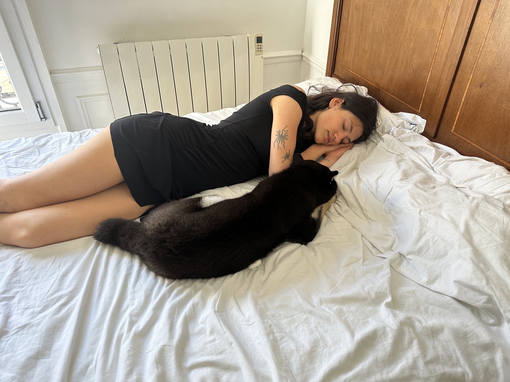 Meow 2